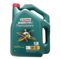 Моторное масло CASTROL MAGNATEC PROFESSIONAL A5 5W-30 FORD